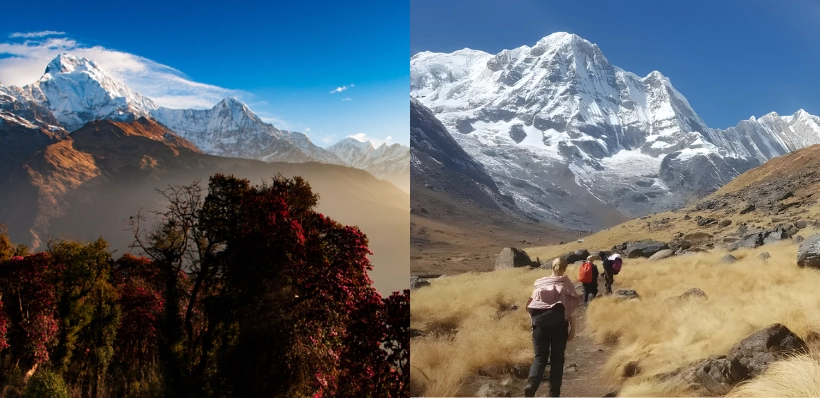 When Is the Best Time for the Annapurna Base Camp Trek?